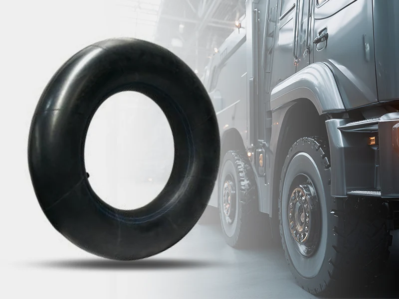 ท่อและอวัยวะเพศหญิง ท่อและอวัยวะเพศหญิง